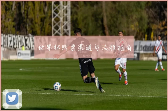 世界杯购票渠道与流程指南