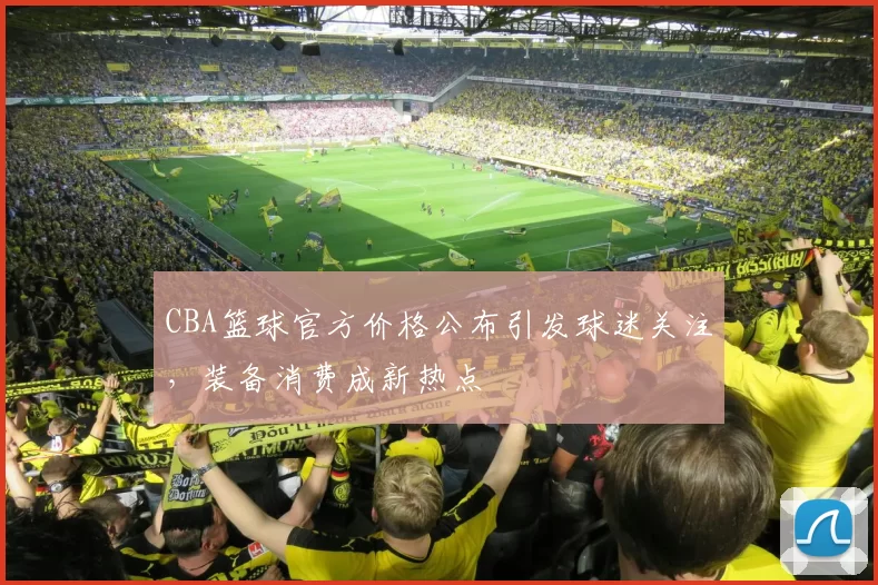 CBA篮球官方价格公布引发球迷关注，装备消费成新热点