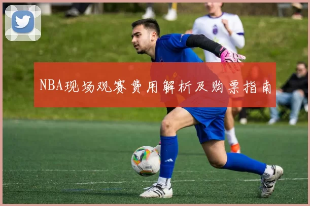NBA现场观赛费用解析及购票指南