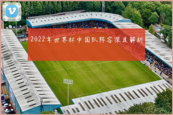 2022年世界杯中国队阵容深度解析