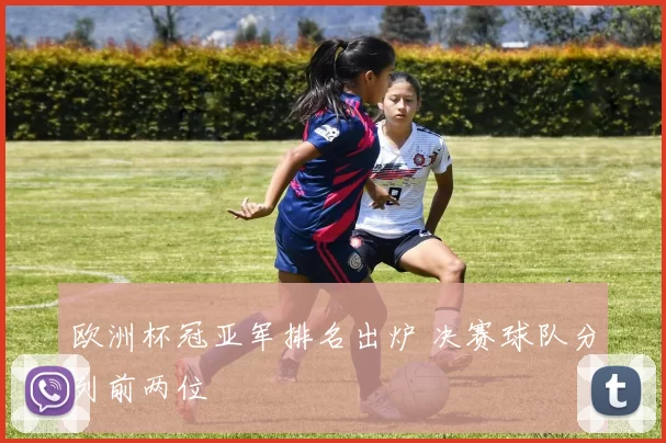 欧洲杯冠亚军排名出炉 决赛球队分列前两位
