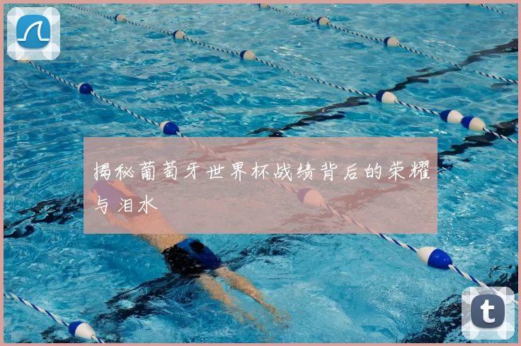 揭秘葡萄牙世界杯战绩背后的荣耀与泪水