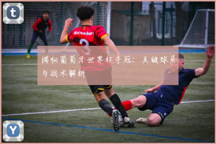 揭秘葡萄牙世界杯夺冠：关键球员与战术解析